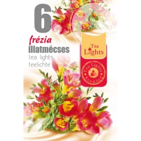ILLATOS TEAMÉCSES FREESIA 6DB