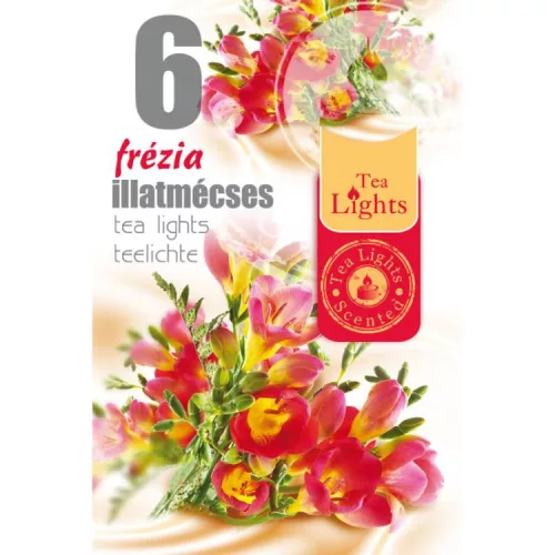 ILLATOS TEAMÉCSES FREESIA 6DB