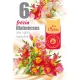 ILLATOS TEAMÉCSES FREESIA 6DB