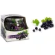 ILLATGYERTYA POHARAS FEKETERIBIZLI 70G