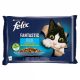 FELIX FANTASTIC MACSKAE.LAZAC CUKKINI.PISZTRÁNG ZÖLDB.ASZPIKBAN 4X85G