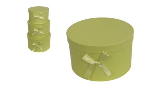 PAPÍRDOBOZ AJÁNDÉK-VIRÁG SZETT/3 100-25/ZÖLD D15XH8CM 1DB