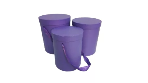 PAPÍRDOBOZ AJÁNDÉK-VIRÁG SZETT 100-48/LILA D21XH24CM 3DB 1CS