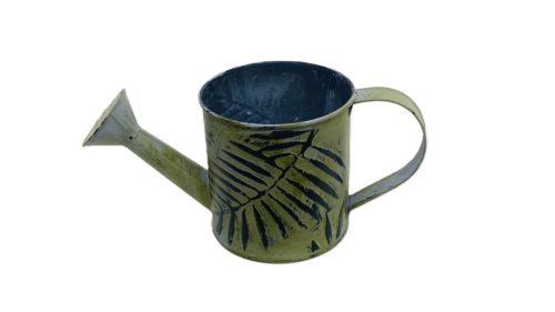 KANNA BÁDOG TRÓPUSI ZÖLD 140-B-206 D10XH10CM 1DB