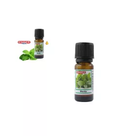 ILLÓOLAJ MENTA 10ML