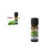 ILLÓOLAJ MENTA 10ML