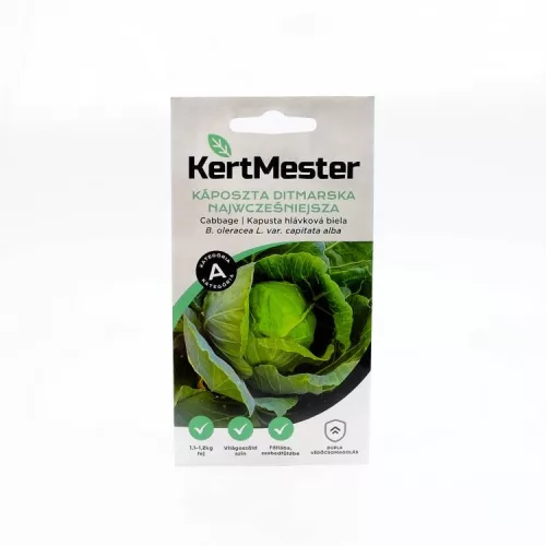 KERTMESTER VETŐMAG KÁPOSZTA DITMARSKA NAJWCZESNIEJSZA 2G