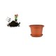 CILINDRO VIRÁGCSERÉP+ALÁTÉT TERRA 20CM 1DB