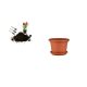 CILINDRO VIRÁGCSERÉP+ALÁTÉT TERRA 17CM 1DB
