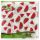 SOFTIMO GENTLE CARE SZALVÉTA DINNYE MINTÁS 34X34CM 1RÉTEGŰ 45DB