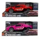 AUTÓ SPORTOS ELEMES MOTORHANG+FÉNY LENDKEREKES 2FÉLE JA7950 1DB