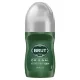 BRUT DEO ROLL ORIGINAL 0% ALCOHOL 50ML