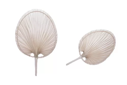 LEGYEZŐ PÁLMALEVÉL 30CM 8-2503 1DB