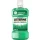 LISTERINE SZÁJVÍZ FRESH MINT 500ML
