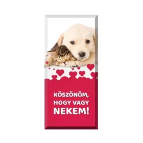 KÖSZ, HOGY VAGY TÁBLÁS CSOKOLÁDÉ 90G