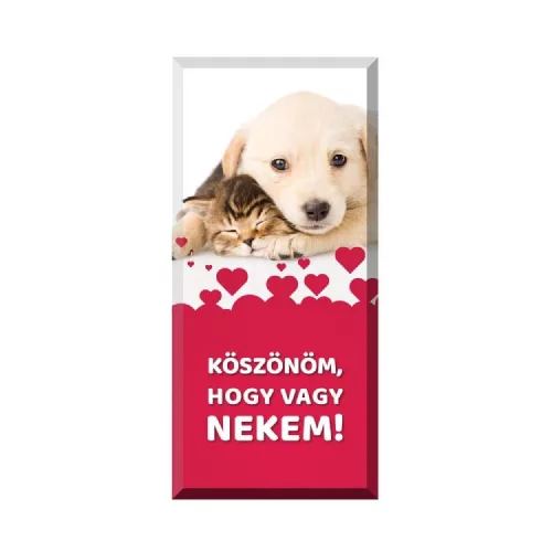 KÖSZ, HOGY VAGY TÁBLÁS CSOKOLÁDÉ 90G