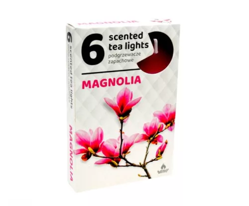 ILLATOS TEAMÉCSES MAGNÓLIA 6DB